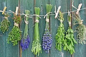 zelišča za zdravljenje glivic na nohtih